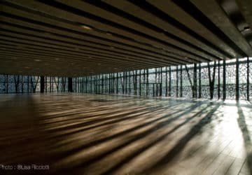 MuCEM exposition parquet photo Lisa Ricciotti