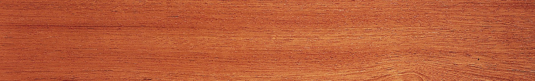 jatoba vernis - plinthe